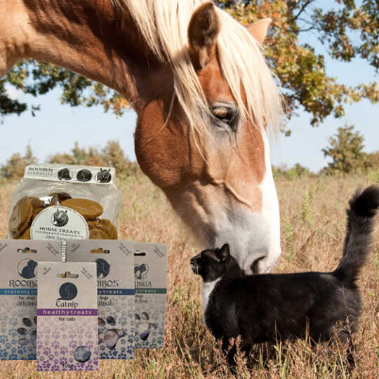 Rooibos Wheat Free Organic Hand Made Dog and Cat Treats